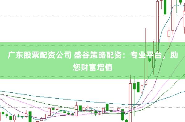 广东股票配资公司 盛谷策略配资：专业平台，助您财富增值