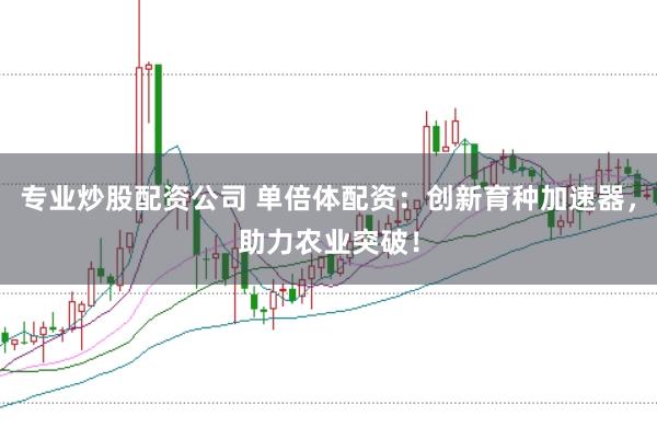 专业炒股配资公司 单倍体配资：创新育种加速器，助力农业突破！
