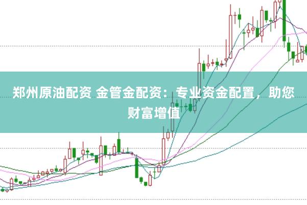 郑州原油配资 金管金配资：专业资金配置，助您财富增值