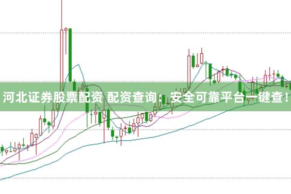 河北证券股票配资 配资查询：安全可靠平台一键查！