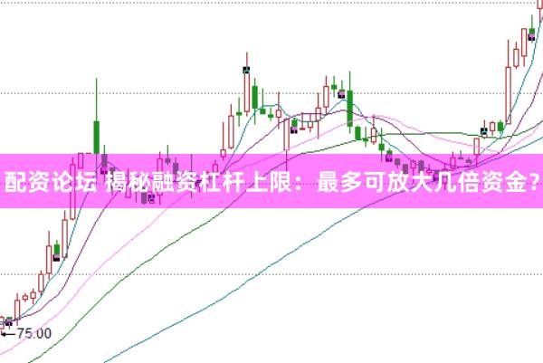 配资论坛 揭秘融资杠杆上限：最多可放大几倍资金？