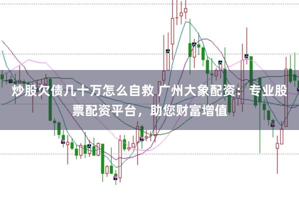 炒股欠债几十万怎么自救 广州大象配资：专业股票配资平台，助您财富增值