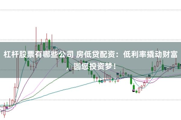 杠杆股票有哪些公司 房低贷配资：低利率撬动财富，圆您投资梦！