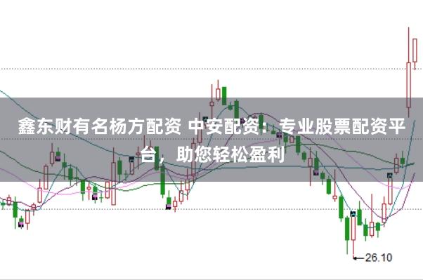 鑫东财有名杨方配资 中安配资：专业股票配资平台，助您轻松盈利