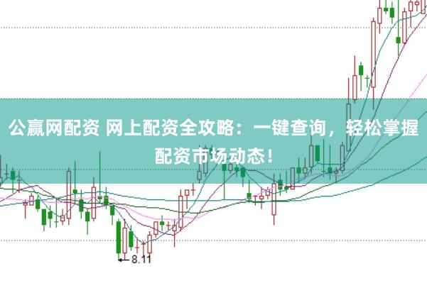 公赢网配资 网上配资全攻略：一键查询，轻松掌握配资市场动态！